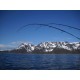 Žvejyba Norvegijoje