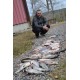Žvejyba Švedijoje